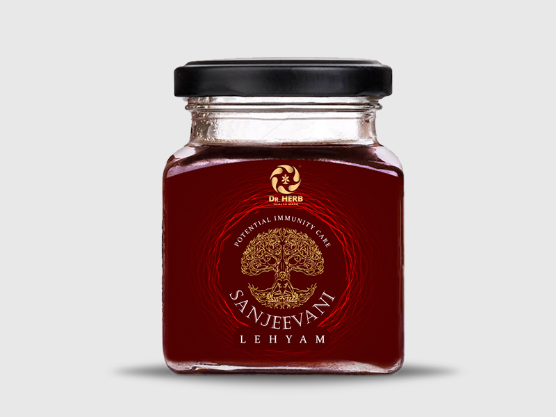 SANJEEVANI.jpg